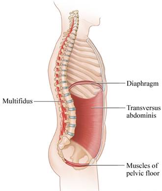 Diagram of The Core